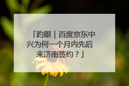 趵眼｜百度京东中兴为何一个月内先后来济南签约？