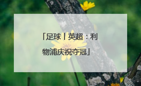 足球丨英超：利物浦庆祝夺冠