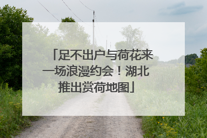 足不出户与荷花来一场浪漫约会！湖北推出赏荷地图