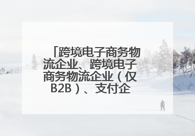 跨境电子商务物流企业、跨境电子商务物流企业（仅B2B）、支付企业备案操作指南