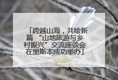 跨越山海，共绘新篇 “山地旅游与乡村振兴”交流座谈会在里斯本成功举办