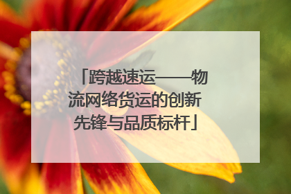 跨越速运——物流网络货运的创新先锋与品质标杆