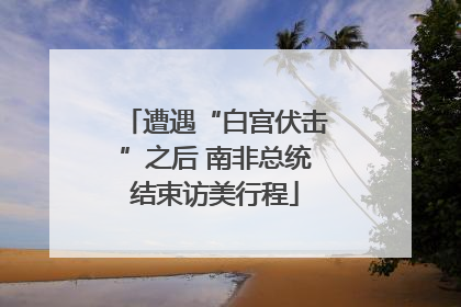 遭遇“白宫伏击”之后 南非总统结束访美行程