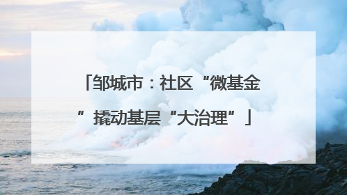 邹城市：社区“微基金”撬动基层“大治理”
