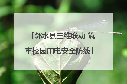 邻水县三维联动 筑牢校园用电安全防线