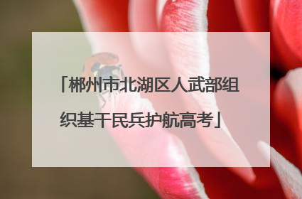 郴州市北湖区人武部组织基干民兵护航高考