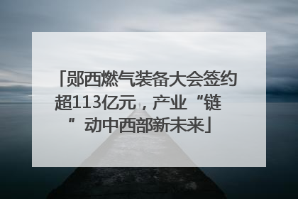 郧西燃气装备大会签约超113亿元，产业“链”动中西部新未来