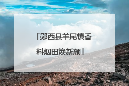 郧西县羊尾镇香料烟田焕新颜