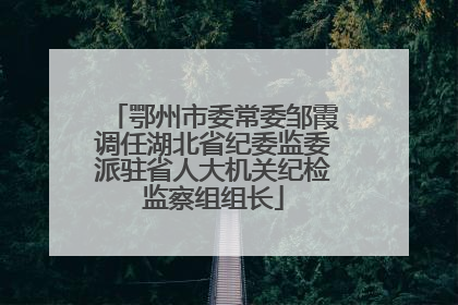 鄂州市委常委邹霞调任湖北省纪委监委派驻省人大机关纪检监察组组长