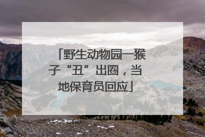 野生动物园一猴子“丑”出圈，当地保育员回应