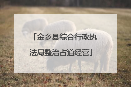 金乡县综合行政执法局整治占道经营