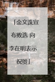 金文洙宣布败选 向李在明表示祝贺
