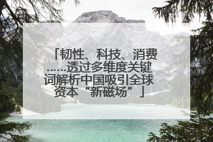 韧性、科技、消费……透过多维度关键词解析中国吸引全球资本“新磁场”