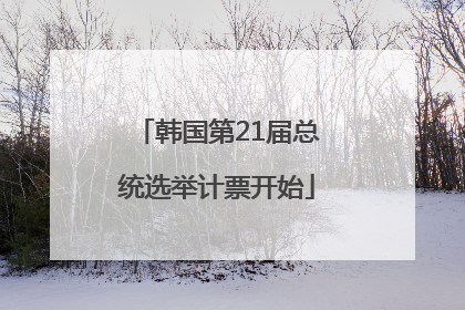 韩国第21届总统选举计票开始