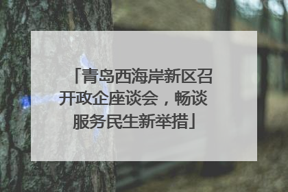 青岛西海岸新区召开政企座谈会，畅谈服务民生新举措