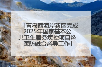 青岛西海岸新区完成2025年国家基本公共卫生服务疾控项目暨医防融合督导工作