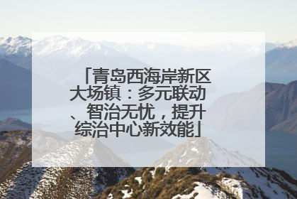 青岛西海岸新区大场镇：多元联动、智治无忧，提升综治中心新效能