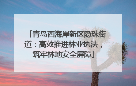 青岛西海岸新区隐珠街道：高效推进林业执法，筑牢林地安全屏障