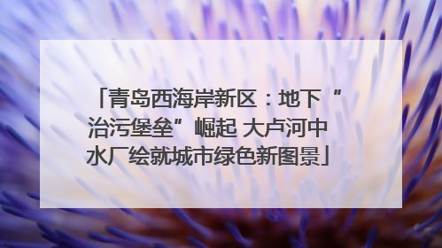 青岛西海岸新区：地下“治污堡垒”崛起 大卢河中水厂绘就城市绿色新图景