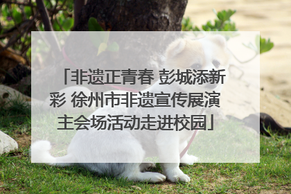 非遗正青春 彭城添新彩 徐州市非遗宣传展演主会场活动走进校园