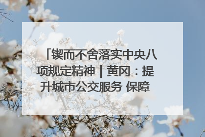 锲而不舍落实中央八项规定精神｜黄冈：提升城市公交服务 保障出行“大民生”