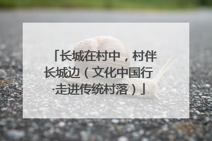 长城在村中，村伴长城边（文化中国行·走进传统村落）