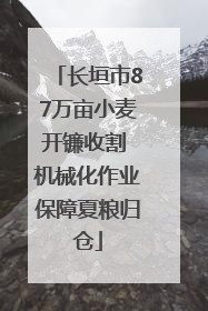长垣市87万亩小麦开镰收割 机械化作业保障夏粮归仓