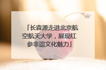 长森源走进北京航空航天大学，展现红参非遗文化魅力
