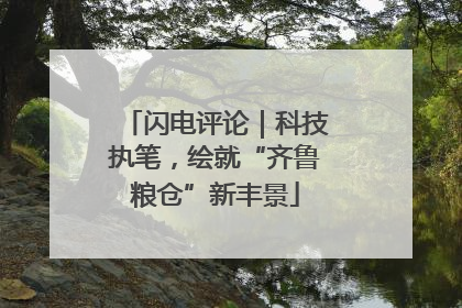 闪电评论｜科技执笔，绘就“齐鲁粮仓”新丰景