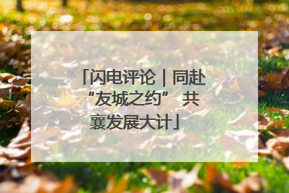 闪电评论｜同赴“友城之约” 共襄发展大计