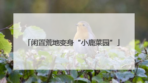 闲置荒地变身“小鹿菜园”