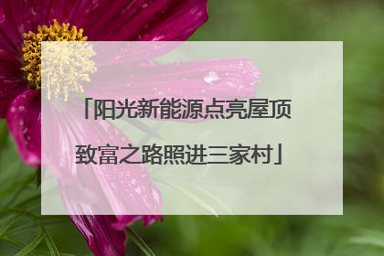 阳光新能源点亮屋顶 致富之路照进三家村