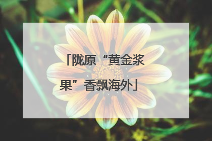 陇原“黄金浆果”香飘海外