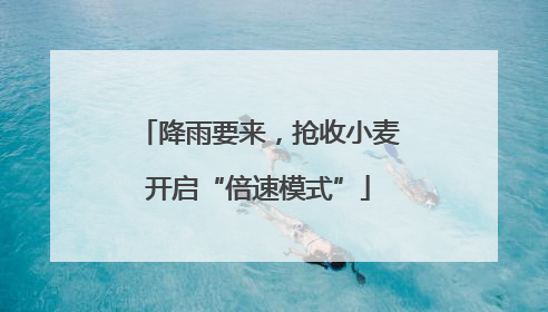 降雨要来，抢收小麦开启“倍速模式”