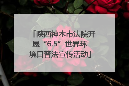 陕西神木市法院开展“6.5”世界环境日普法宣传活动