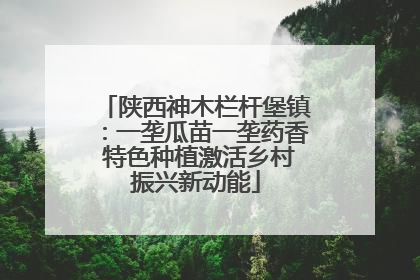 陕西神木栏杆堡镇：一垄瓜苗一垄药香 特色种植激活乡村振兴新动能