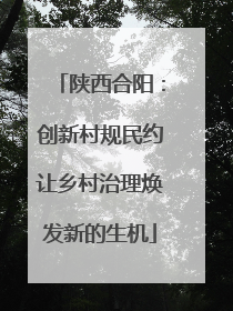 陕西合阳：创新村规民约让乡村治理焕发新的生机