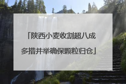 陕西小麦收割超八成 多措并举确保颗粒归仓