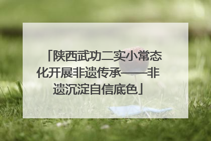 陕西武功二实小常态化开展非遗传承——非遗沉淀自信底色