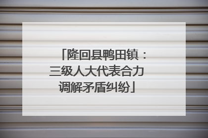 隆回县鸭田镇：三级人大代表合力调解矛盾纠纷