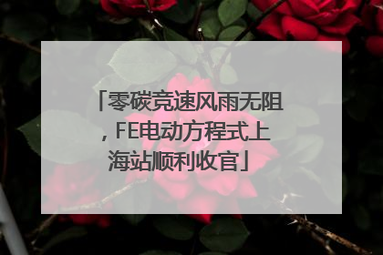 零碳竞速风雨无阻，FE电动方程式上海站顺利收官