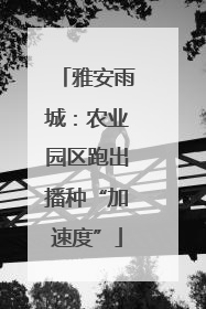 雅安雨城：农业园区跑出播种“加速度”