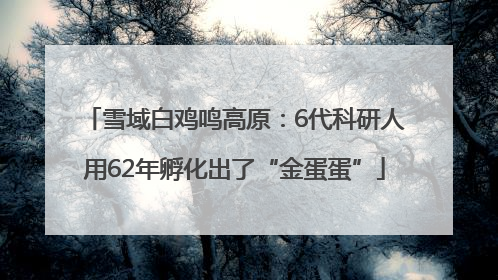 雪域白鸡鸣高原：6代科研人用62年孵化出了“金蛋蛋”