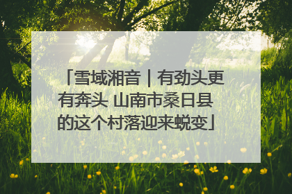 雪域湘音｜有劲头更有奔头 山南市桑日县的这个村落迎来蜕变