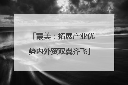霞美：拓展产业优势内外贸双翼齐飞