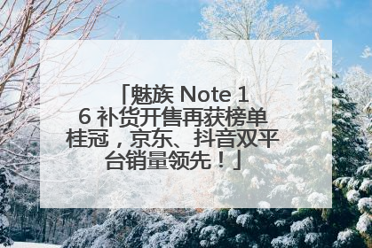 魅族 Note 16 补货开售再获榜单桂冠，京东、抖音双平台销量领先！