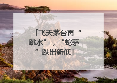 飞天茅台再“跳水”，“蛇茅”跌出新低