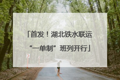 首发！湖北铁水联运“一单制”班列开行