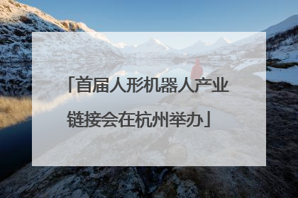 首届人形机器人产业链接会在杭州举办