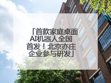 首款家庭桌面AI机器人全国首发！北京亦庄企业参与研发